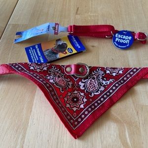Set of Two Small Red Collars